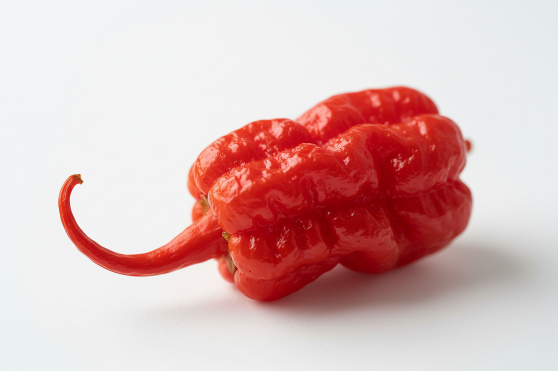 The Ultimate Guide to Hot Sauce (2026 Edition)